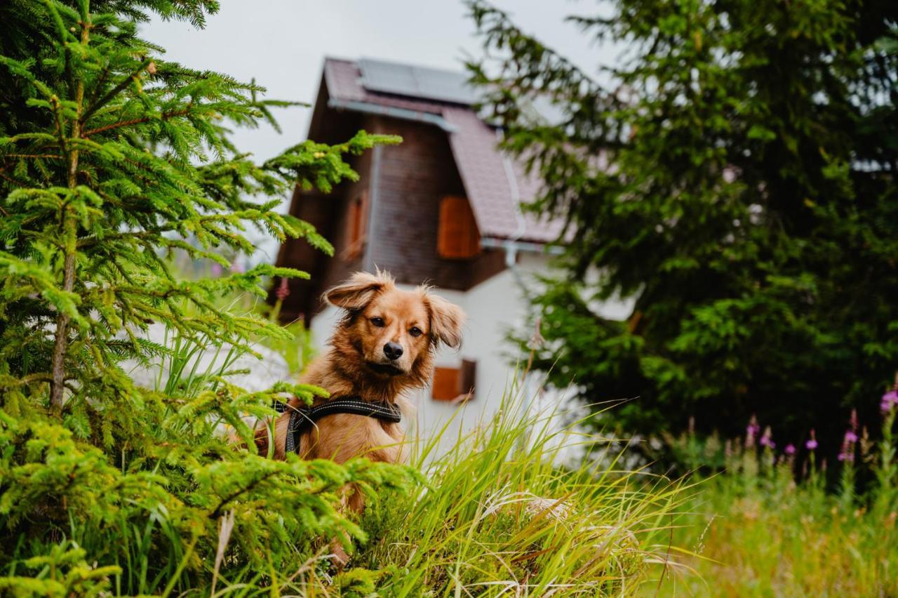 Jambrichova Chata Vysoké Tatry Kültér fotó